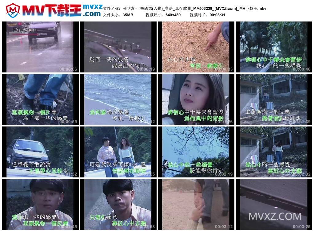 张学友-一些感觉(人物)_粤语_流行歌曲_MA503239